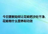 今日更新如何让花蛤把沙吐干净,花蛤有什么营养和功效