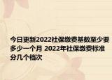 今日更新2022社保缴费基数至少要多少一个月 2022年社保缴费标准分几个档次