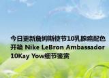 今日更新詹姆斯使节10乳腺癌配色开箱 Nike LeBron Ambassador 10Kay Yow细节鉴赏