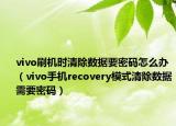 vivo刷机时清除数据要密码怎么办（vivo手机recovery模式清除数据需要密码）