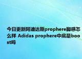 今日更新阿迪达斯prophere脚感怎么样 Adidas prophere中底是boost吗