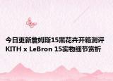 今日更新詹姆斯15黑花卉开箱测评 KITH x LeBron 15实物细节赏析