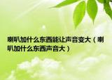 喇叭加什么东西能让声音变大（喇叭加什么东西声音大）
