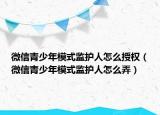 微信青少年模式监护人怎么授权（微信青少年模式监护人怎么弄）