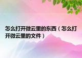 怎么打开微云里的东西（怎么打开微云里的文件）