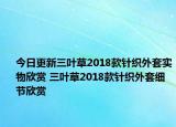今日更新三叶草2018款针织外套实物欣赏 三叶草2018款针织外套细节欣赏