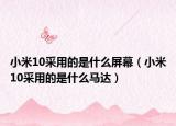 小米10采用的是什么屏幕（小米10采用的是什么马达）