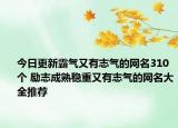 今日更新霸气又有志气的网名310个 励志成熟稳重又有志气的网名大全推荐