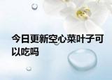 今日更新空心菜叶子可以吃吗