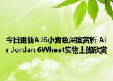 今日更新AJ6小麦色深度赏析 Air Jordan 6Wheat实物上脚欣赏