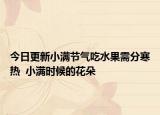 今日更新小满节气吃水果需分寒热  小满时候的花朵