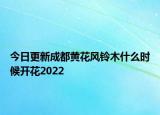 今日更新成都黄花风铃木什么时候开花2022