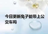 今日更新兔子能带上公交车吗
