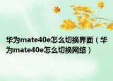 华为mate40e怎么切换界面（华为mate40e怎么切换网络）