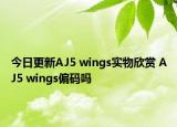 今日更新AJ5 wings实物欣赏 AJ5 wings偏码吗