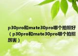 p30pro和mate30pro哪个拍照好（p30pro和mate30pro哪个拍照厉害）