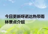 今日更新呀诺达热带雨林景点介绍
