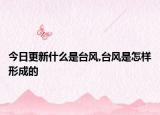 今日更新什么是台风,台风是怎样形成的