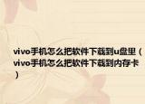 vivo手机怎么把软件下载到u盘里（vivo手机怎么把软件下载到内存卡）