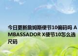 今日更新詹姆斯使节10偏码吗 AMBASSADOR X使节10怎么选尺码