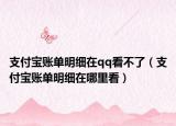 支付宝账单明细在qq看不了（支付宝账单明细在哪里看）