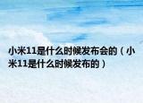 小米11是什么时候发布会的（小米11是什么时候发布的）