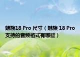 魅族18 Pro 尺寸（魅族 18 Pro支持的音频格式有哪些）