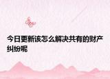 今日更新该怎么解决共有的财产纠纷呢