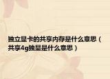 独立显卡的共享内存是什么意思（共享4g独显是什么意思）