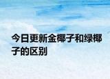 今日更新金椰子和绿椰子的区别