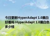 今日更新HyperAdapt 1.0黑白好看吗 HyperAdapt 1.0黑白色多少钱