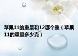 苹果11的重量和12哪个重（苹果11的重量多少克）