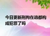 今日更新刑拘在逃都构成犯罪了吗