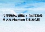 今日更新AJ1黑蛇 + 白蛇实物欣赏 AJ1 Phantom 幻影怎么样