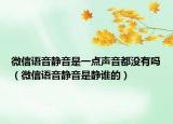 微信语音静音是一点声音都没有吗（微信语音静音是静谁的）