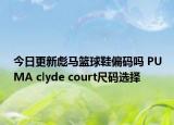 今日更新彪马篮球鞋偏码吗 PUMA clyde court尺码选择