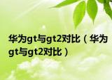 华为gt与gt2对比（华为gt与gt2对比）