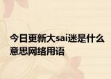 今日更新大sai迷是什么意思网络用语