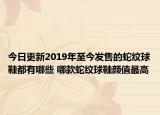 今日更新2019年至今发售的蛇纹球鞋都有哪些 哪款蛇纹球鞋颜值最高