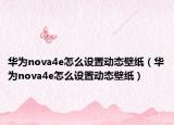 华为nova4e怎么设置动态壁纸（华为nova4e怎么设置动态壁纸）