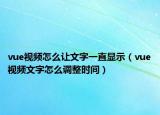 vue视频怎么让文字一直显示（vue视频文字怎么调整时间）