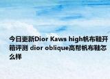 今日更新Dior Kaws high帆布鞋开箱评测 dior oblique高帮帆布鞋怎么样