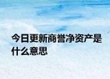 今日更新商誉净资产是什么意思