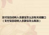 支付宝自动转入余额宝怎么没有关闭窗口（支付宝自动转入余额宝怎么取消）