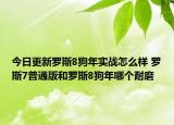 今日更新罗斯8狗年实战怎么样 罗斯7普通版和罗斯8狗年哪个耐磨