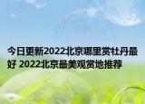 今日更新2022北京哪里赏牡丹最好 2022北京最美观赏地推荐