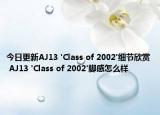 今日更新AJ13 'Class of 2002'细节欣赏 AJ13 'Class of 2002'脚感怎么样