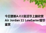 今日更新AJ11复活节上脚欣赏 Air Jordan 11 LowEaster细节鉴赏