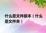 什么是文件版本（什么是文件夹）