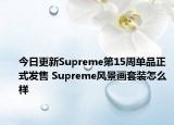 今日更新Supreme第15周单品正式发售 Supreme风景画套装怎么样
